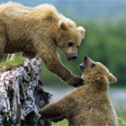 Alaska