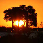Botswana