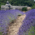 Provence